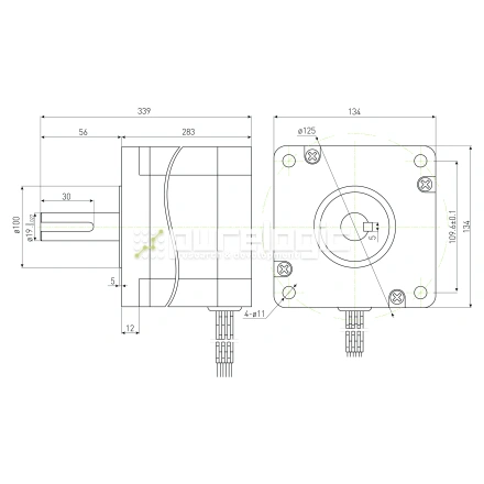 Двигатель шаговый PL130H283-D19 фото