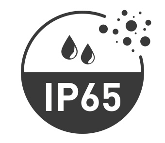 Стандарты защиты IP