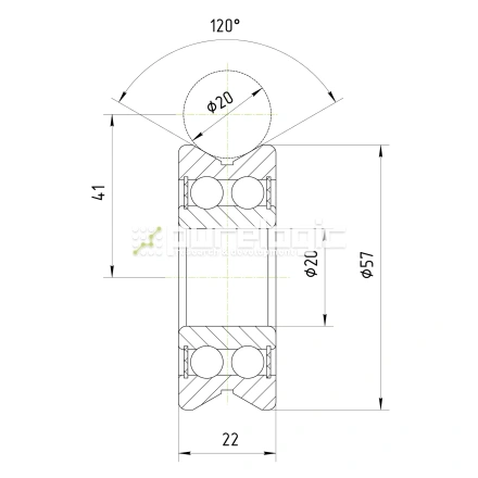 Опорный ролик LV204-57ZZ фото