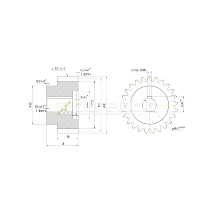 Шестерня прямозубая GS3-T25D19 фото
