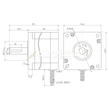 Двигатель шаговый PL110H168-D19 фото