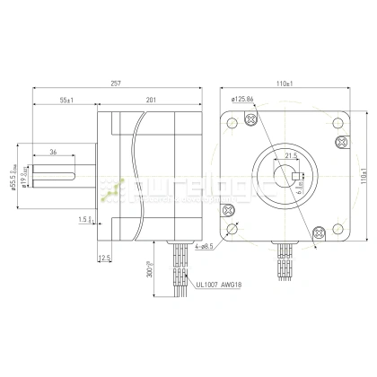 Двигатель шаговый PL110H201-D19 фото