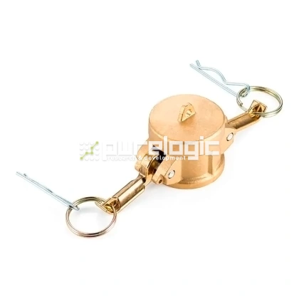 Камлок латунный PL200DCBR фото