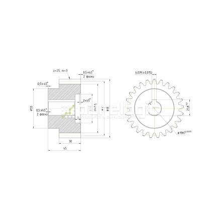 Шестерня прямозубая GS3-T25D19 фото